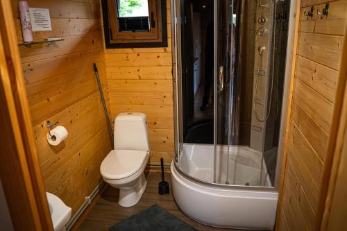 a small bathroom with a toilet and a shower at Relax domki Zator in Zator