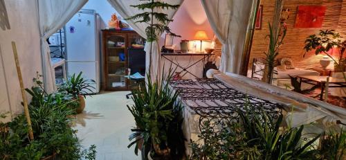 a room with a bed with plants in it at hostel Banana in Tangier