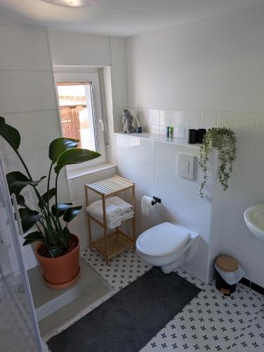 a bathroom with a toilet and a plant in it at Haus Haiderbach Nähe A3 in Wittgert