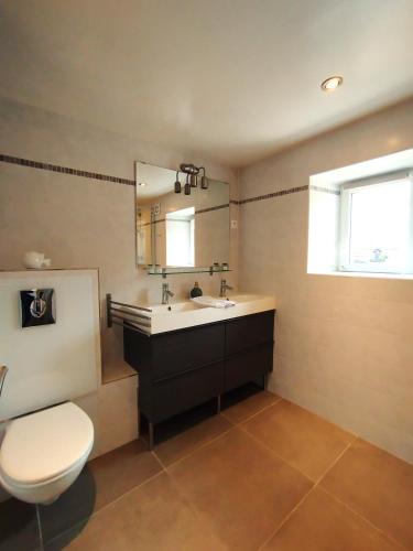 une salle de bain avec un lavabo, des toilettes et un miroir dans l'établissement Leo's Cottage Second Souffle Valcanville, à Valcanville