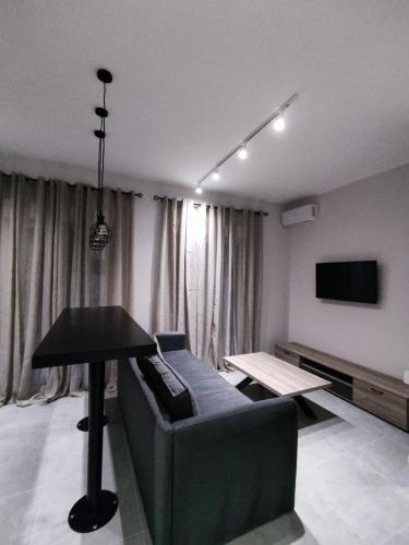 Elegant and spacious penthouse