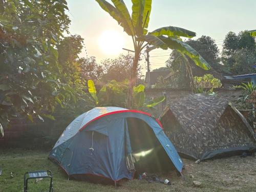 two tents in a yard next to a palm tree at Lanna house Sankampaeng บ้านหอเสื้อสันกำแพง in Ban Doi Yao