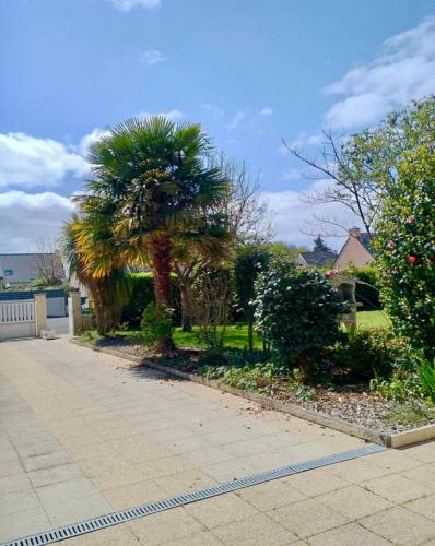 un trottoir avec des palmiers dans une cour dans l'établissement La Baronnière de Loctudy, à Loctudy