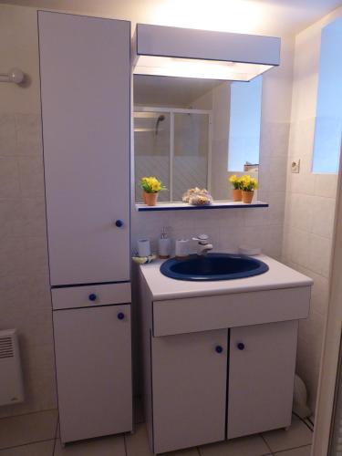 a bathroom with a sink and a mirror at GITE LE PARC in Villamblard