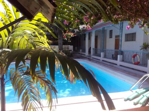 a view of a swimming pool with a palm tree at Park Hotel in Port-au-Prince