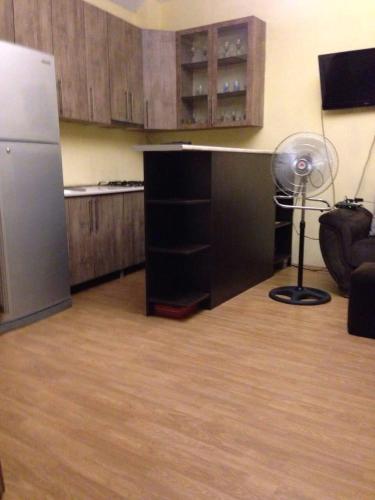 a kitchen with a refrigerator and a fan in a room at Leila Apartment in Tbilisi City