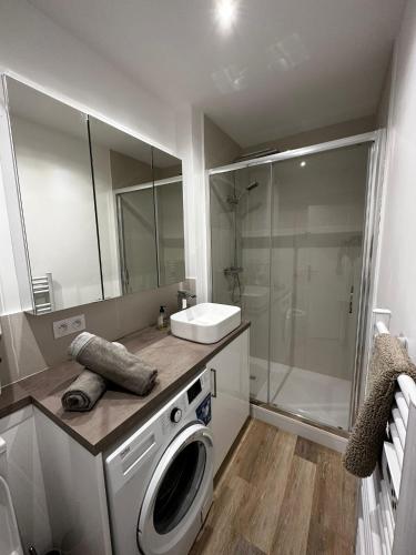 une salle de bain avec une machine à laver et un lavabo dans l'établissement Studio - port de Nice - balcon, à Nice
