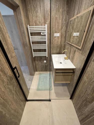 une salle de bain avec un lavabo et un miroir dans l'établissement Il Vialetto - Roma, à Jeumont