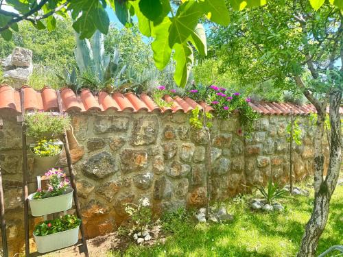 Afbeelding uit fotogalerij van Apartments Maro in Senj