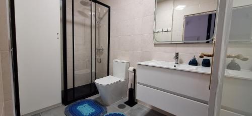 a bathroom with a toilet and a sink and a shower at Ferreirinhas - Beach House in Vila do Conde
