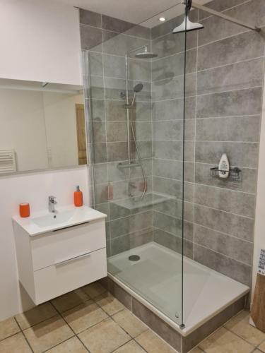 ein Badezimmer mit Dusche und Waschbecken in der Unterkunft Maison de ville au bord du Lez, 170m2 cosy. in Bollène