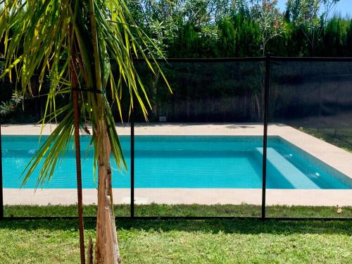 a palm tree next to a swimming pool at Villa Miranda in El Rompido