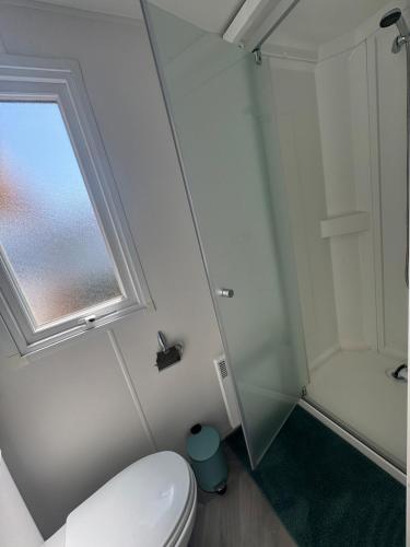 a bathroom with a toilet and a shower at Bungalow 341 pour 6 à 8 pers Camping Siblu 4 étoiles le Lac des Rêves in Lattes