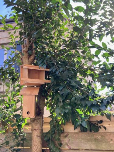 Chambre dans un appartement avec jardin