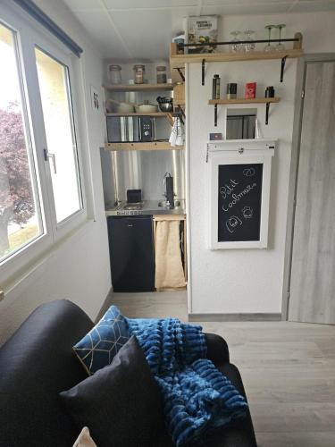 un salon avec un canapé et une cuisine dans l'établissement Le Petit Coolmar, à Colmar