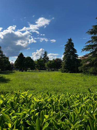 a field of green grass with trees in the background at La finestra su Assisi in Bastia Umbra