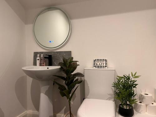 Gambar di galeri bagi Large Modern Apt 4 Star Free Parking and WIFI Note Stairs di Belfast