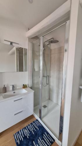une salle de bain avec une douche en verre et un lavabo dans l'établissement Metz vieille ville quartier Sainte Croix 