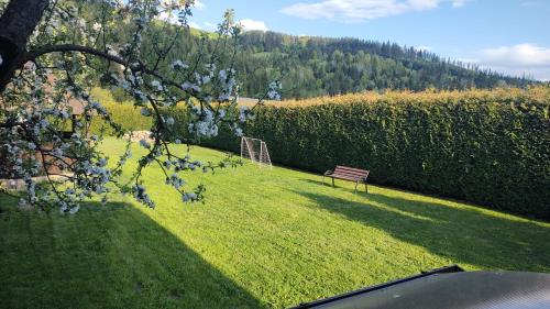eine Parkbank, die im Gras auf einem Feld steht in der Unterkunft Forest View Cottage in Voroneţ