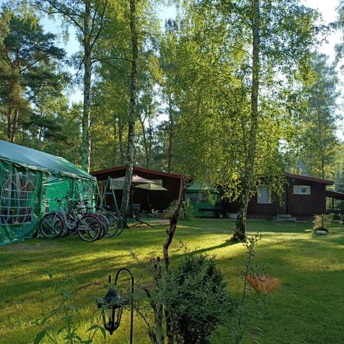 a group of bikes parked next to a tent at Domek02 Ośrodek Wypoczynkowy Joanna Wojnowo Lubuskie in Kargowa