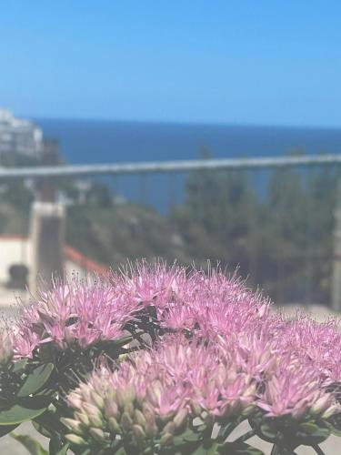 a group of pink flowers with the ocean in the background at Sunderville Superior in Peschici