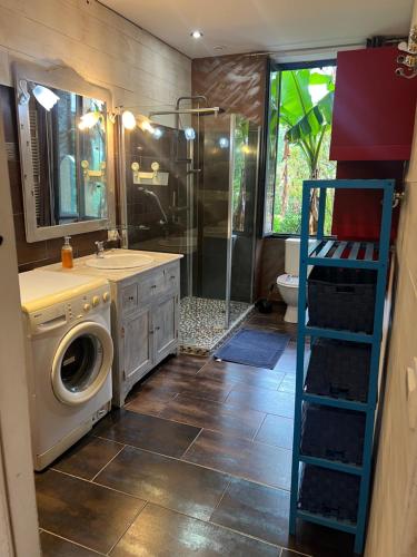a bathroom with a washing machine and a sink at Gîte à la ferme avec piscine in Urgosse