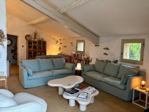 un salon avec deux canapés bleus et une table dans l'établissement Bergerie bonheur!, à Port-la-Nouvelle