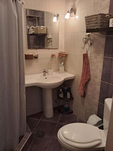 łazienka z umywalką i toaletą w obiekcie Avocado Apartment w Ochrydzie