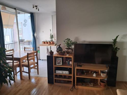 TV at/o entertainment center sa Avocado Apartment