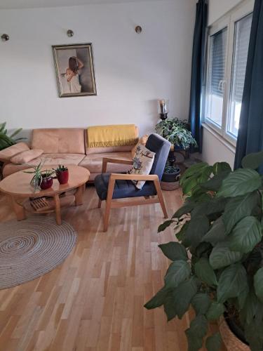 Et opholdsområde på Avocado Apartment