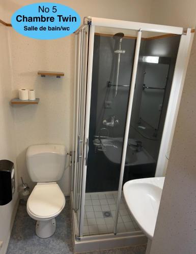 une salle de bain avec une douche, des toilettes et un lavabo dans l'établissement CHAMBRE TWIN PROCHE de LA GARE, à Langeac
