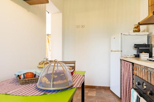 a kitchen with a green table and a refrigerator at Bioagriturismo Terra d'Angeli in Bagno Roselle