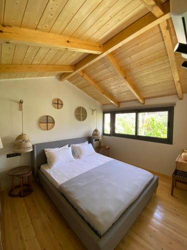 Φωτογραφία από το άλμπουμ του Olive Tree Apartments στη Λευκάδα Πόλη