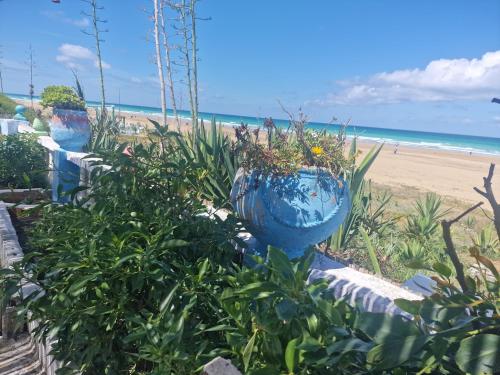 two blue planters with plants in front of the beach at Cosy Apartment Near Beach & Airport in Tangier