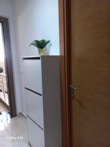 a plant on top of a dresser next to a door at Rimal Costa Martil in Martil