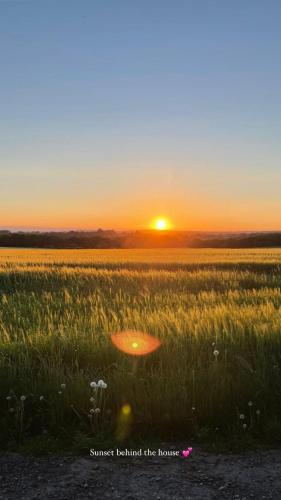 a field of grass with the sunset in the background at Natures Loft in Darlington