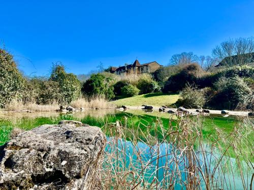 a group of animals standing around a body of water at Domaine du Fraysse Le Cèdre un havre de paix in Saint-Cybranet