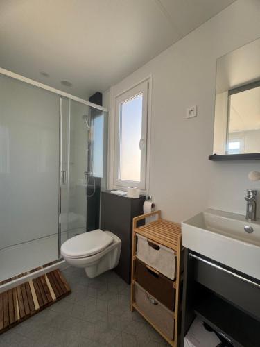 een badkamer met toilet, douche en wastafel bij Mobile Enelia sun house in Sveti Petar