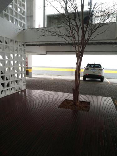 a tree in the middle of a parking lot with a car at Piratininga - Niterói RJ in Niterói