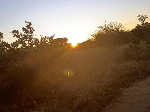 a field with the sun setting in the background at Shalakwe Hills-Inn Guesthouse Kasane in Kasane