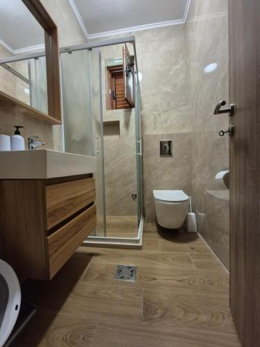 a bathroom with a shower and a toilet and a sink at B & M Apartments in Kotor