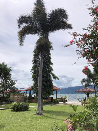 a palm tree in a park next to the ocean at Hariara Guest House in Tuk Tuk