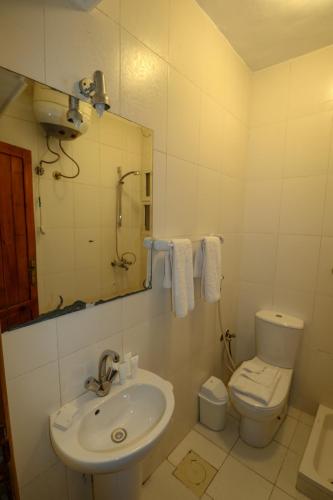 a bathroom with a sink and a toilet and a mirror at Acacia Dahab Hotel in Dahab