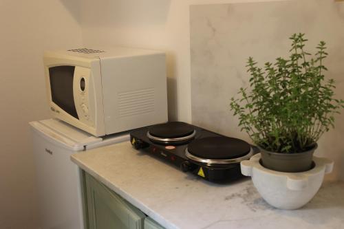 a microwave sitting on top of a counter with a plant at Casa Ida in Sestri Levante