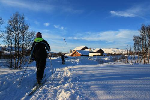 a person is cross country skiing in the snow at Hovden Fjellstoge in Hovden