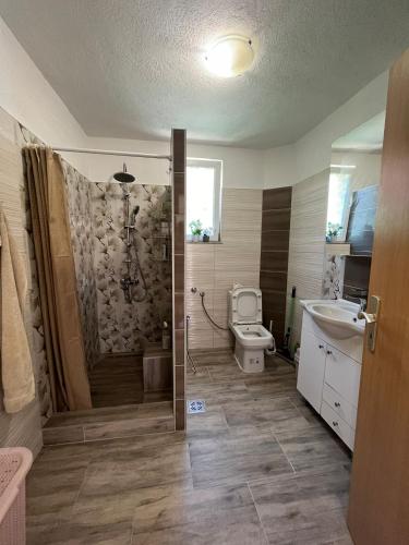 a bathroom with a shower and a toilet and a sink at Family Flower House in Sarajevo