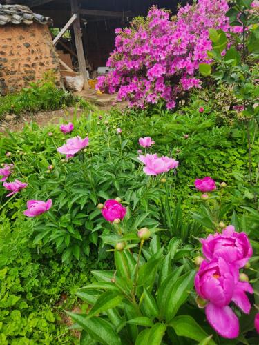 Gallery image of Hanok Soeun House in Miryang