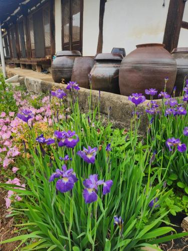 สวนหย่อมนอก Hanok Soeun House