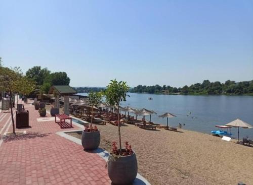 a beach with chairs and umbrellas and a body of water at Prenoćište SILVER LUX Srebrno Jezero 10 in Veliko Gradište