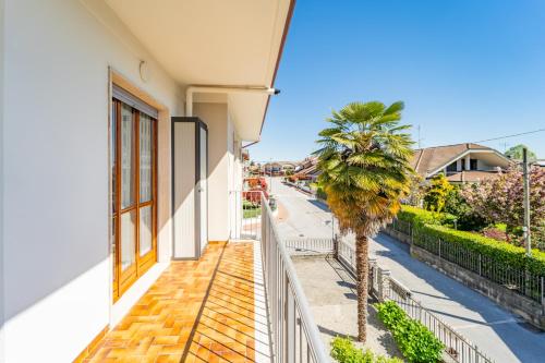a balcony of a house with a palm tree at Elegante Appartamento con Terrazzo - Parcheggio Gratuito Privato & Wifi in Borgo San Dalmazzo